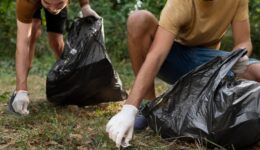 Mutirão e gamificação em campanha de limpeza em SP