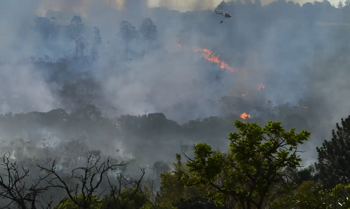 Brasil é responsável por 76% dos incêndios na América do Sul