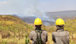 ONG reforça a necessidade de preparo de produtores rurais para incêndios