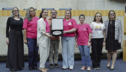 Com mais de 10 mil gatos resgatados, ONG Catland é homenageada