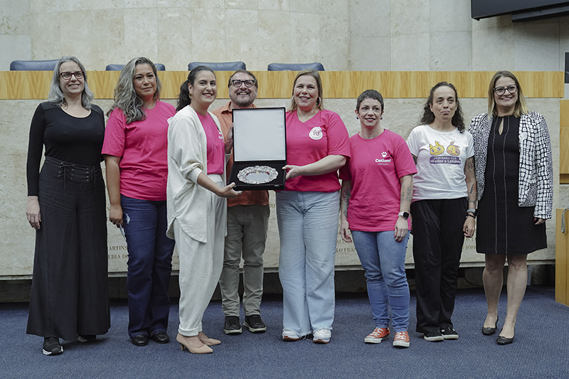 Com mais de 10 mil gatos resgatados, ONG Catland é homenageada