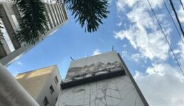 Queimadas: SP ganha mural feito de cinzas transformadas em tintas