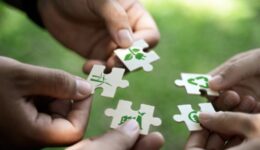 Reciclagem e Sustentabilidade: Oportunidades para o Brasil no Cenário Global com novo Incentivo Fiscal