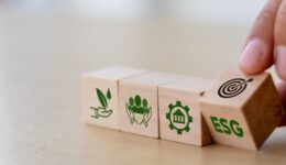 Da porta para dentro: 3 dicas de como as OSCs podem implementar ESG