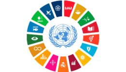 OSCs lançam VIII Relatório Luz da Sociedade Civil para a Agenda 2030 em Brasília