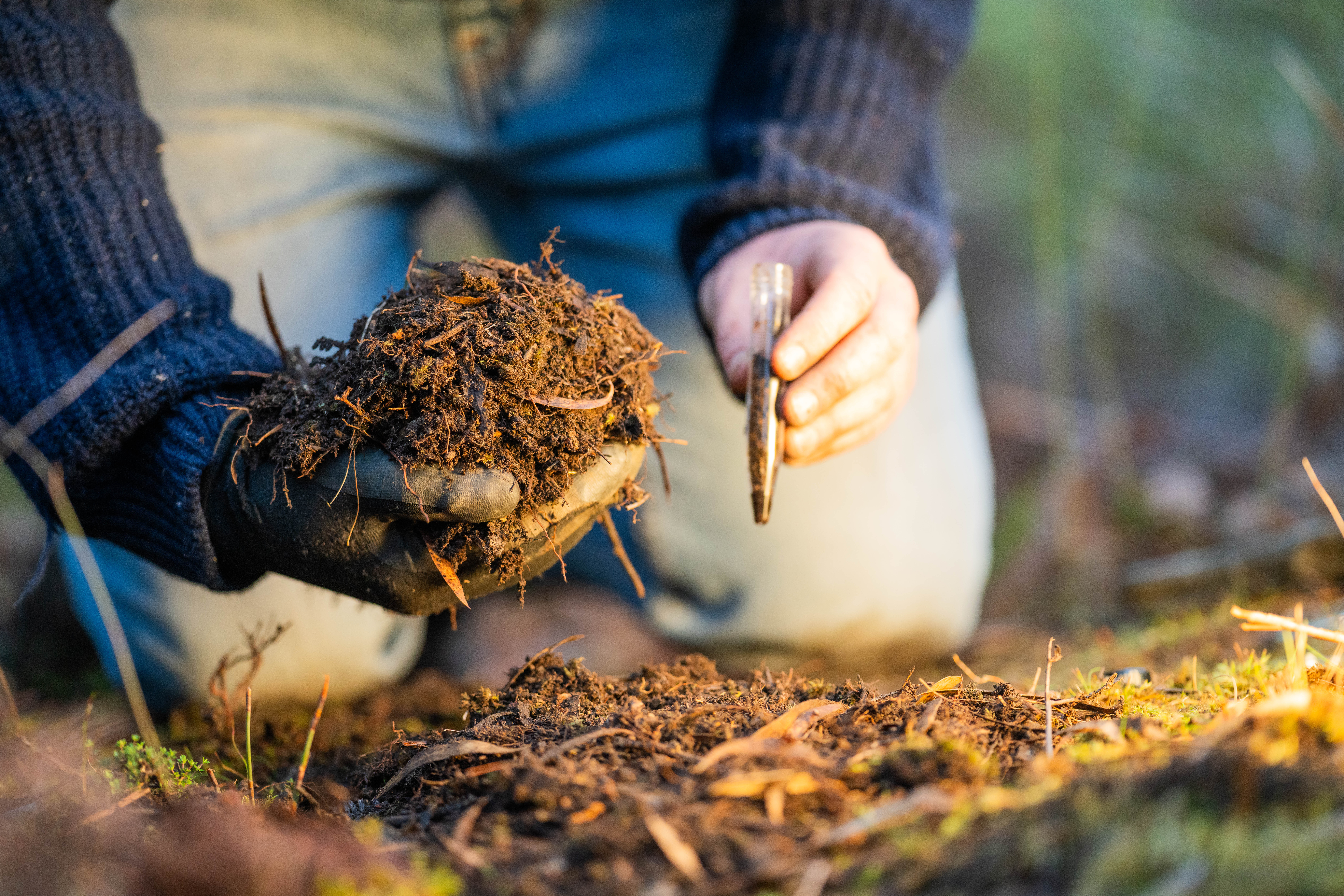 Edital Teia da Sociobiodiversidade recebe inscrições até 17/11