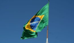 Design sem nome - 2024-11-04T114858.431