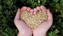 Fórum debate sustentabilidade e inovação no setor agroalimentar