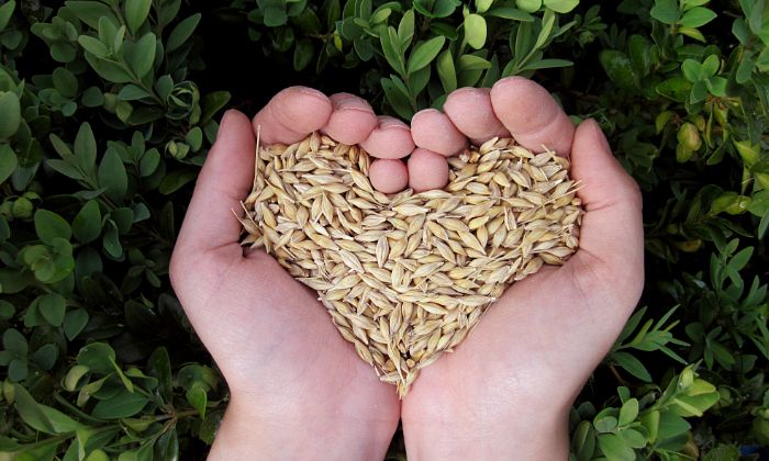 Fórum debate sustentabilidade e inovação no setor agroalimentar