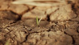 Olhar da Cidadania discute problemas climáticos e futuro do Brasil