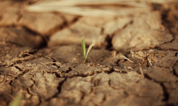 Olhar da Cidadania discute problemas climáticos e futuro do Brasil