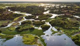 SOS Pantanal e Everest apoiam comunidades vulneráveis no MT e MS