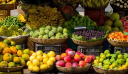 Painel debate papel do terceiro setor na sustentabilidade alimentar