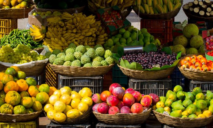 Painel debate papel do terceiro setor na sustentabilidade alimentar