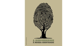 Design sem nome (3)