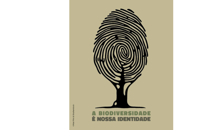 Design sem nome (3)