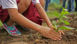 Edital financia projetos de justiça climática e ambiental liderado por mulheres