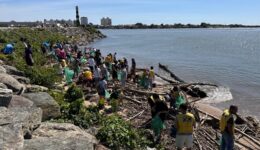 Mais de 500 quilos de resíduos são coletados na ação Baía Limpa