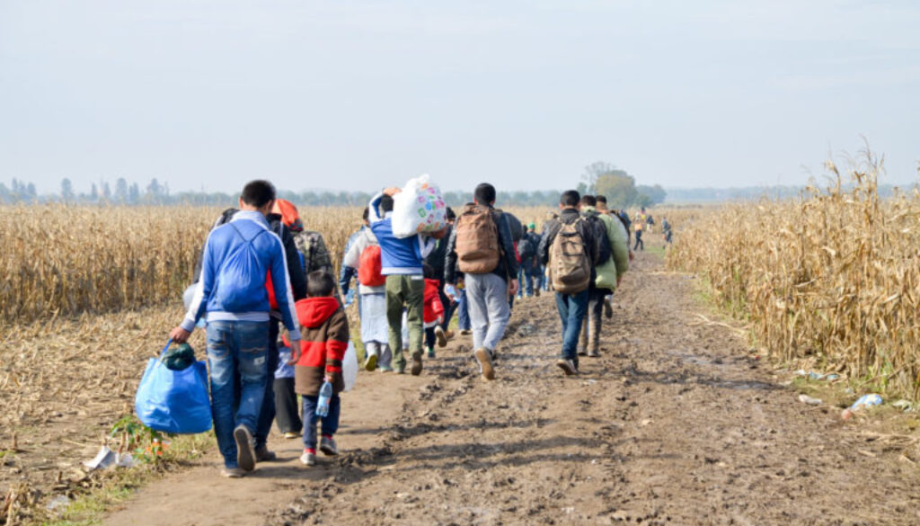 Refugees and migrants walking on fields. Group of refugees from