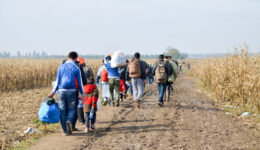 Refugees and migrants walking on fields. Group of refugees from