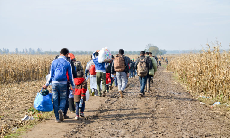 Refugees and migrants walking on fields. Group of refugees from
