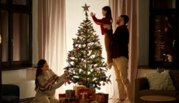 Tradição da árvore de Natal nasceu bem antes de Jesus Cristo