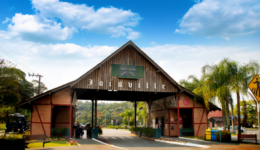 Doa Joinville mobiliza mais de 30 ONGs no Dia de Doar