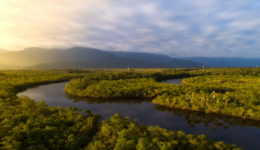 Edital Restaura Amazônia 2024 incentiva projetos de recuperação