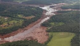 Edital viabiliza ações para regeneração de Brumadinho e região