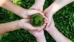 Professor propõe alfabetização para a sustentabilidade nas escolas