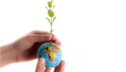 Edital incentiva uso de tecnologias digitais em prol do meio ambiente