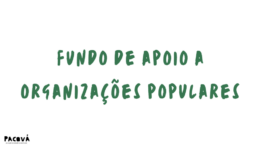 Captura-de-tela-2025-04-03-105530