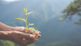 Edital financia projetos de justiça climática liderados por jovens