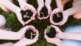 Edital contempla projetos socioambientais e segurança alimentar