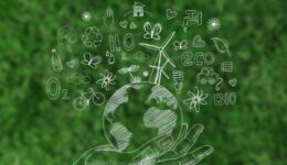 Organização global estimula ações empresariais em causas ambientais e sociais