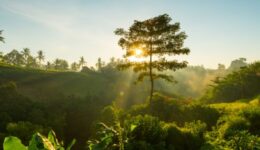 Edital fortalece protagonismos locais na agenda climática