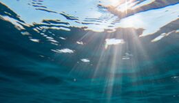 Estudo identifica microplástico em áreas marinhas protegidas do Brasil