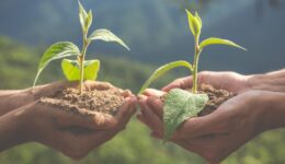 Dow Brasil seleciona projetos sociais e ambientais em municípios de MG, BA e PA