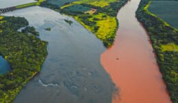 Edital seleciona propostas para restauração de áreas degradadas da Amazônia