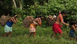 Edital para apoio a projetos de comunidades tradicionais da Amazônia