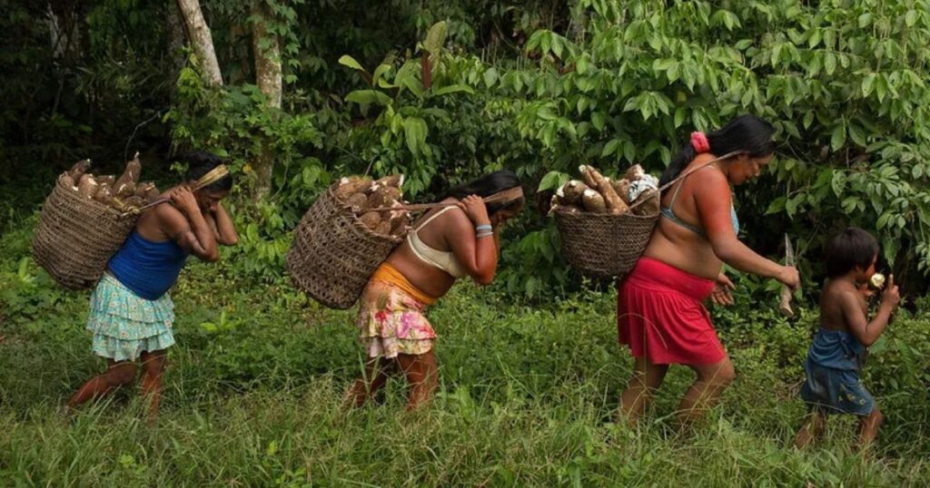 Edital para apoio a projetos de comunidades tradicionais da Amazônia