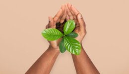 Premiação seleciona soluções ancestrais para crise climática na Amazônia