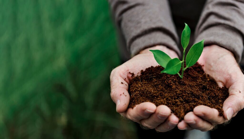 sustentabilidade-da-planta-de-conservacao-ambiental-2
