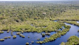 Edital fortalece projetos sociobioeconomia e agroecologia no Pará e Amazonas