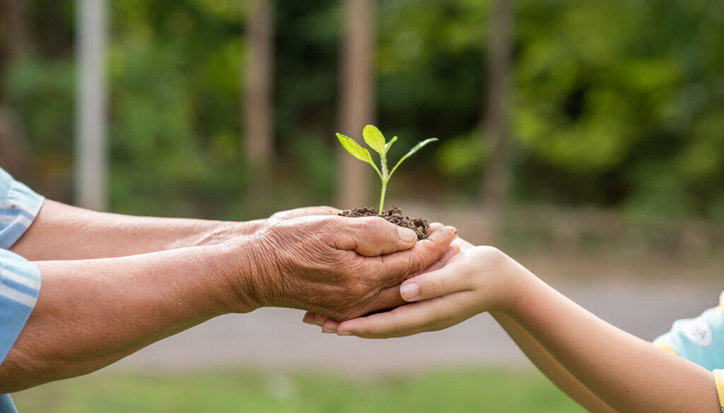 between the hands of the elderly and children