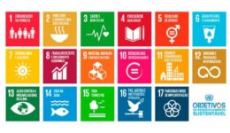 Edital apoia projetos de impacto alinhados aos Objetivos de Desenvolvimento Sustentável (ODS)