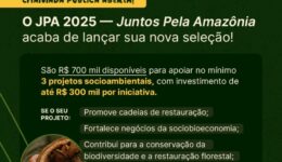 Quando fundos de investimentos se tornam parceiros das soluções locais de impacto na Amazônia