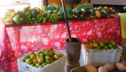Goiás lança edital para fortalecer agricultores familiares quilombolas