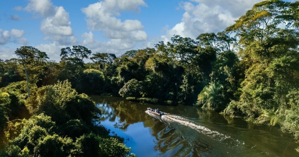 Mais de R$ 110 milhões são investidos na conservação da Mata Atlântica no litoral do Paraná