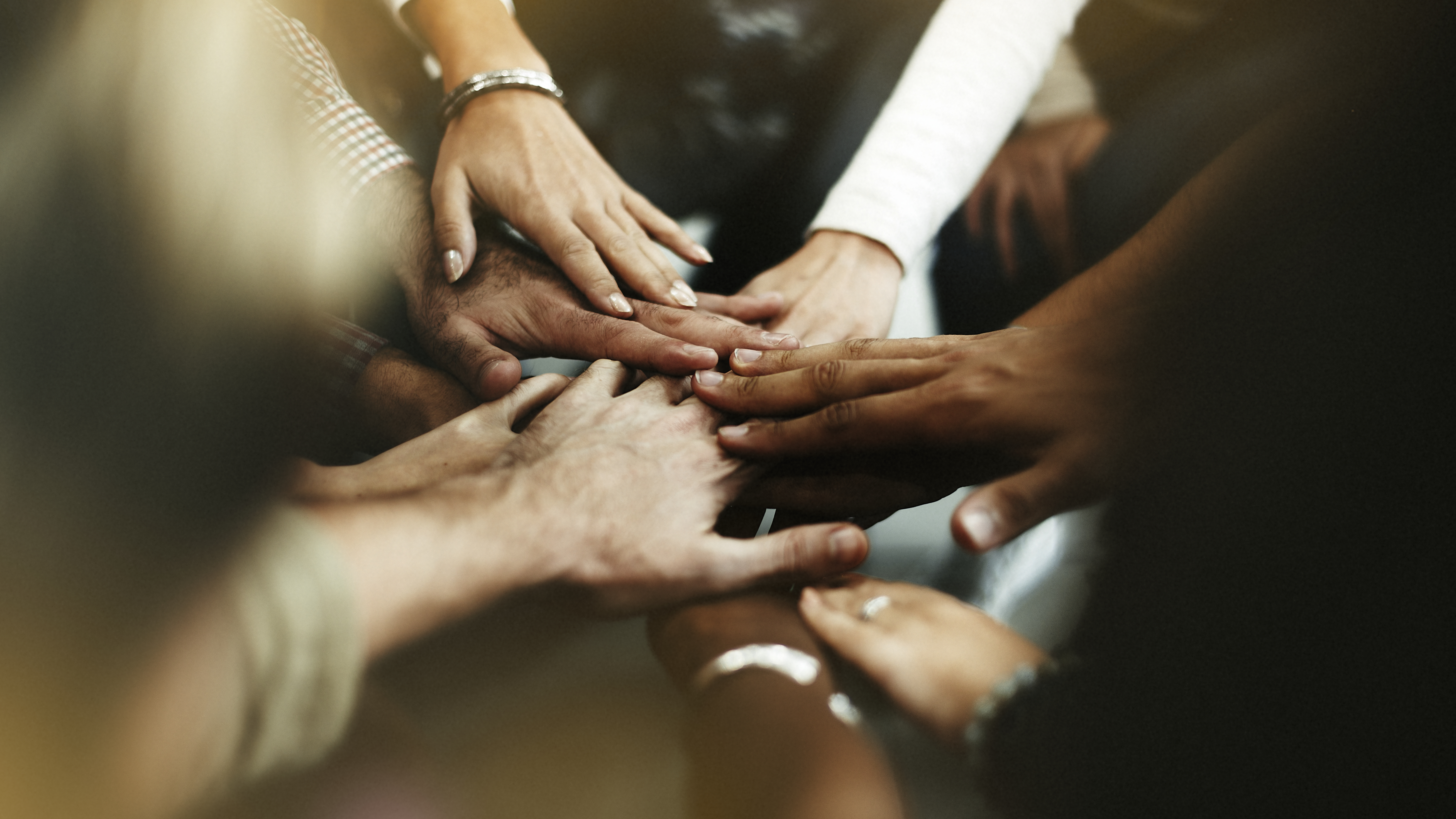 Programa de voluntariado da B3 engajou 55% dos colaboradores em 2024